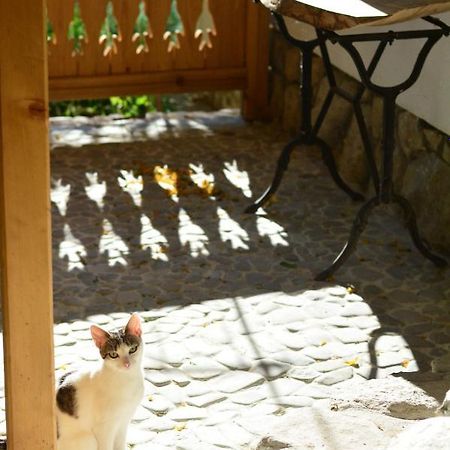 Casa De Oaspeti Adorabila Aproape De Natura Sărata-Monteoru Exteriér fotografie