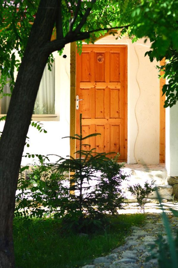 Casa De Oaspeti Adorabila Aproape De Natura Sărata-Monteoru Exteriér fotografie