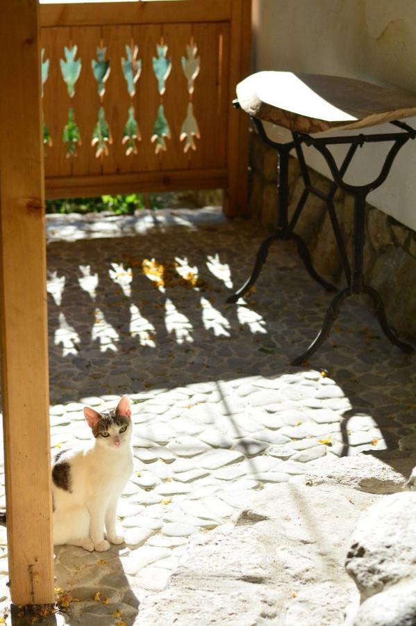 Casa De Oaspeti Adorabila Aproape De Natura Sărata-Monteoru Exteriér fotografie