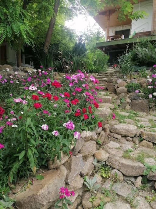 Casa De Oaspeti Adorabila Aproape De Natura Sărata-Monteoru Exteriér fotografie